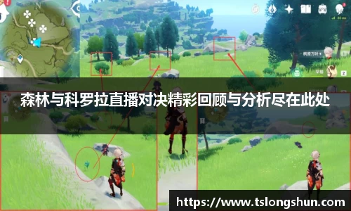 森林与科罗拉直播对决精彩回顾与分析尽在此处