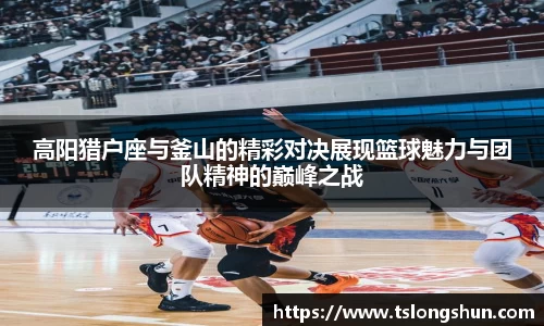 bsports官网